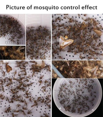 Mosquito Killer Trap Lamp | Mosquito Repellent USB Electric Led Machine For Home