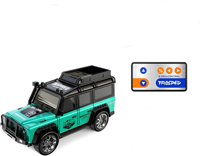 world smallest r/c car