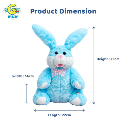 Dancing, Talking and Interactive Rabbit