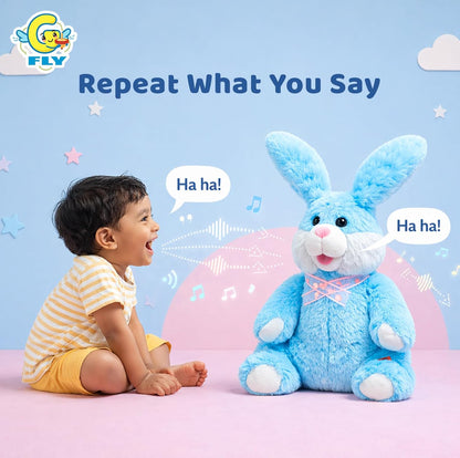 Dancing, Talking and Interactive Rabbit