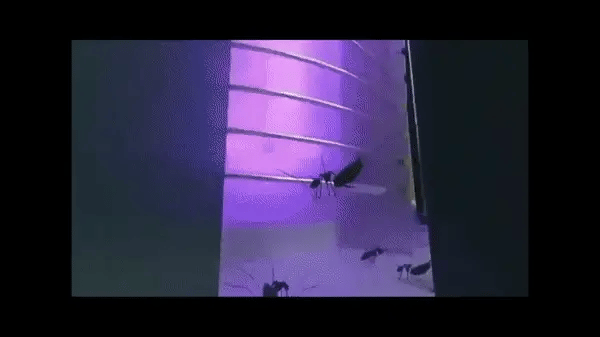 Mosquito Killer Trap Lamp | Mosquito Repellent USB Electric Led Machine For Home