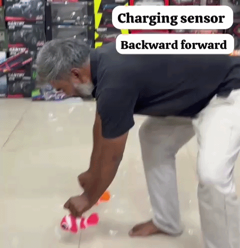 sensor fish
