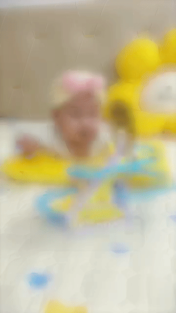 Duck Slide Toy Set,